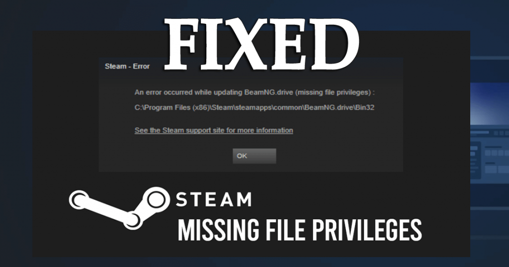 missing file privileges steam download