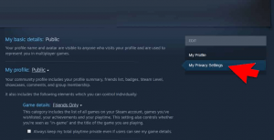 [Ultimate Guide] How To Hide Game Activity On Steam From Friends?