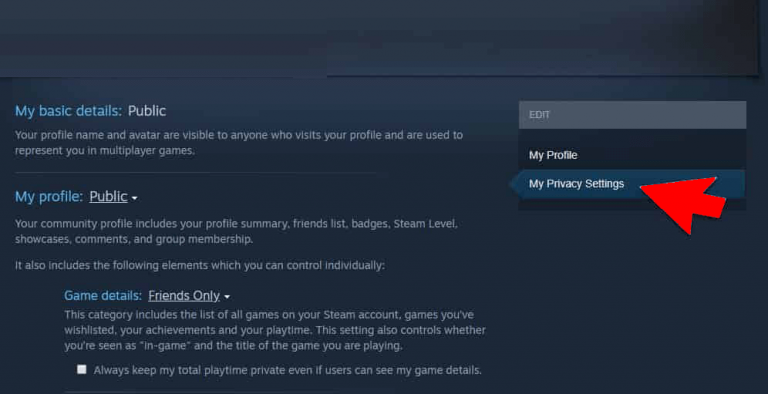 how to hide a game from recent activity steam